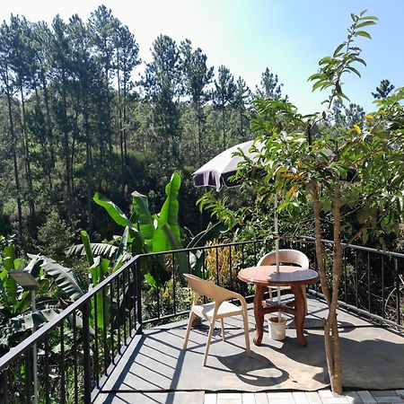Mount Crest - Ella Hotel Buitenkant foto